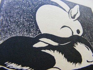 biblioteca 271 copy.jpg